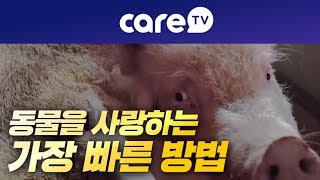 [케어TV]동물을 사랑하는 가장 빠른 방법!