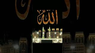 Beautiful Naat Maula Maula #islamic new#whatsapp#status #short video
