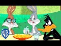 Looney Tunes em Português 🇧🇷 |  O Novo Melhor Amigo de Pernalonga  WB Kids