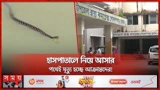 সিলেটে বাড়ছে সাপের উপদ্রব, নেই প্রতিষেধক টিকা! | Anti-venom Crisis in Sylhet | Somoy TV