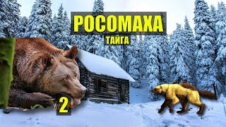 РОСОМАХА - ЕЩЕ тот МЕДВЕДЬ СВЯЩЕННИК СПАС МЕДВЕДЯ СЛУЧАЙ в ТАЙГЕ ОХОТА ИСТОРИИ из ЖИЗНИ СЕРИАЛ 2