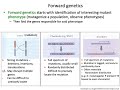 MCB 182 Lecture 4.1 - Forward genetics