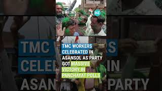 TMC Workers Celebrate Massive Victory In West Bengal Panchayat Polls