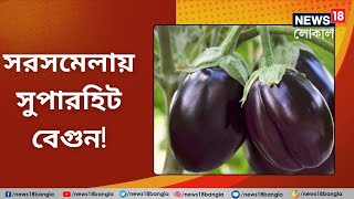 Brinjal | দেড় কিলো ওজনের বিঘোরের বেগুন সুপারহিট Siliguri -র সরসমেলায় | Saras Mela | Local18 Bangla