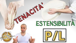 IL P/L: Tenacità ed Estensibilità dell'impasto