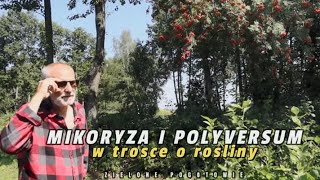 Krótki wykład Pana Taty: W trosce o rośliny...