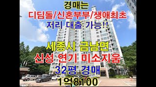 세종시 금남면 용포리 신성연기 미소지움 매매 32평 - 세종시아파트경매