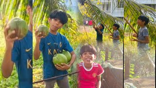 തേങ്ങ ഇടാനുള്ള ഒരു സിമ്പിൾ ട്രിക്ക് 🌴🥥 #vlog #malayalam #ownvoice #trending #coconut #simple #tricks