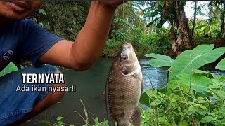 LUAR BIASA!! MANCING DI SPOT INI BERKALI KALI DI BUAT TERKEJUT!!