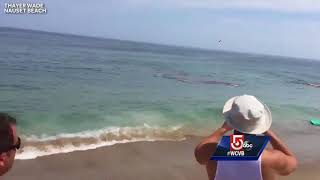 shows shark attack feet away from Cape Cod surfers
