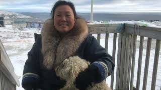 Inuit knowledge and Science