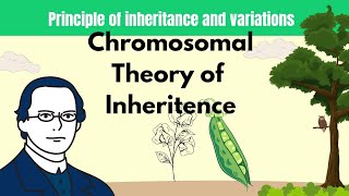 Principles of inheritance and variations