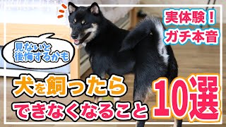 【実体験！ガチ本音】（役立ち）犬を飼ったらできなくなること10選‼︎ - 後悔・失敗を避けるため、犬を飼う前に知るべき知識まとめ（豆柴・柴犬の事例から）※全犬種共通