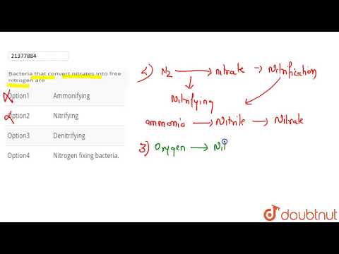 What converts nitrates to free nitrogen?