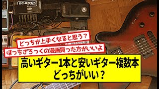 高いギター1本と安いギター複数本、どっちがいい？【5ch音楽スレ】