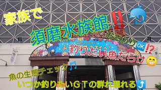 雨やし海荒れてるし魚の生態チェックも兼ねて😁家族で須磨水族館❗⤴️🐠大迫力🎵