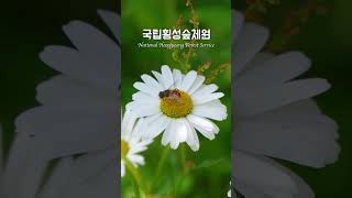 🚗강원도 횡성 여행 Best3🍃