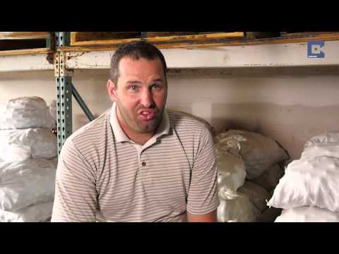 Man Dives For Golf Balls for a Living Man Dives For Golf Balls for a Living