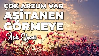 Erenlerle Muhabbet/ Çok Arzum Var Asitanen Görmeye-Aşık Efgani/ Süleyman Alan Dede