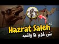 Story of prophet saleh AS Hindi / Urdu|حضرت صالح کی قوم کا واقعہ | Islamic Story