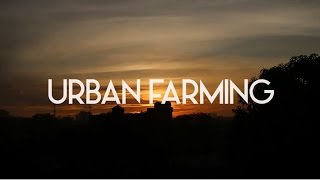 KAMPUNG BERKEBUN URBAN FARMING RW 04