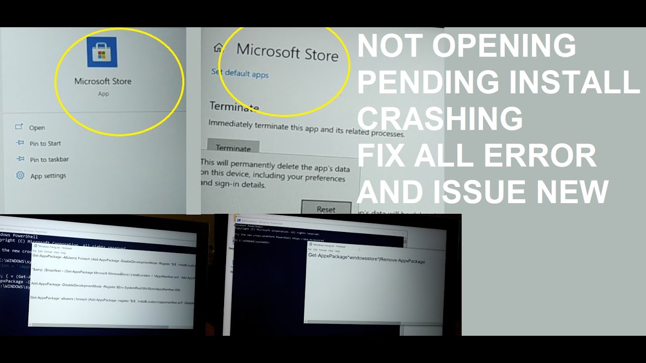 Fix Your Microsoft Store And Store App Issue, Errors Like Not ...