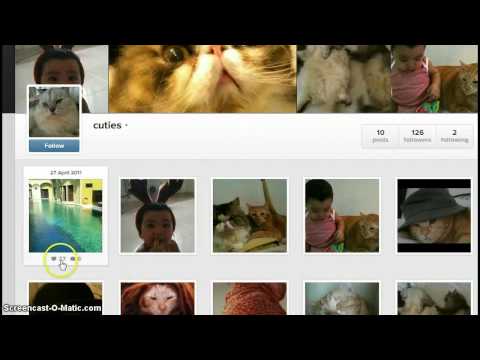 Instagram likes for free August 2013 Instagram likes for free August 2013