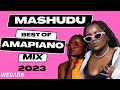 Mashudu Best of Amapiano Mix 2023 | 01 Feb | Dj Webaba