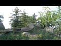 シンリンオオカミの遠吠え 旭山動物園 ~howling of wolves at asahiyama zoo