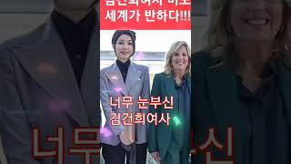 (짤방뉴스) 세계인의 찬사를 받는 영부인.. #안하림작가