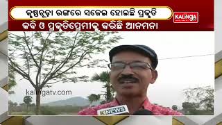 Minding Blowing View Of Krushnachuda flower  In Boudh District || Gaon Live