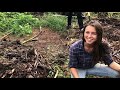 The ultimate Biodynamic compost