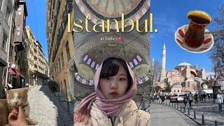 【🇹🇷Istanbul】総額15万円！ぼっち卒業旅行 in イスタンブール 🌕🧞‍♂️🕌｜お土産🧺｜グルメ🍴｜猫🐈