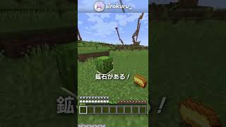 ネザライト実はザコ説【マイクラ豆知識 解説 裏技】