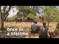 NATUCATE – Rangerkurs - Wilderness Experience in Southern Africa 2014