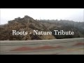 Nature Roots by Imagine Dragons