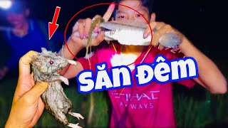 Duy 94 Vlog | Đi Săn Đêm Sau Trận Mưa Đầu Mùa, Cá, Chuột Khắp Nơi Trên Đồng Quá Đã Luôn