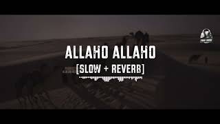 Allaho Allaho || Slowed + Reverb || Hadia Ismail || Naat || Naat Lovers
