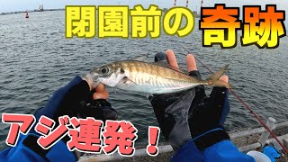 【鹿島港魚釣園】終了直前にアジ連発！仕掛けにカメラを付けてHITシーンを撮ってみた！