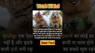 Top best 5 fact images best fact video #facts #factshorts #shortvideo #viralshorts