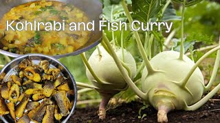 KOHLRABI CURRY with FISH | Simple ORGANIC kohlrabi recipe | Fresh \u0026 healthy