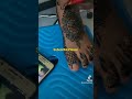 foot henna የ እግር ሂና