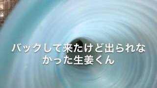 フェレットのかわいいお尻　【生姜くん】