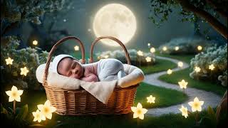 Peaceful Nights Deep Sleep Lullabies for Babies 🌟💤