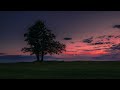 Light (feat. Dianna) · N3WPORT - (slowed and reverb)