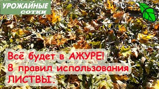 8 правил ДЛЯ БЕЗОПАСНОГО и ТОЛКОВОГО использования ЛИСТОВОГО ОПАДА. Клещи, болезни и вредители.