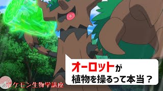 オーロットが根っこを使って森の木々を操るのは本当なのか？｜ポケモン剣盾、ポケモンgo、ポケモンユナイト #Shorts