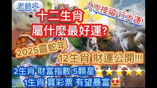 十二生肖 屬什麼最好運? 2025靈蛇年 12生肖 財運公開!!! 入黎接福 行大運! 2生肖財富指數5顆星⭐️ 1生肖買彩票 有望暴富🤩|有緣|香港|新聞|佛禪|大愛|家庭|感情|工作|話題|分享|