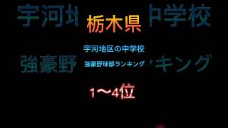 【宇都宮市の中学校】栃木県宇河地区の中学校強豪野球部ランキング#栃木県#中学校#野球部