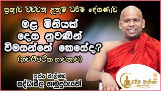 ප්‍රඥාව වඩවන ‌උතුම් දේශණාවක් - නවසීවථික භාවනාව ඇසුරෙන්   | Venerable Welimada Saddhaseela Thero |